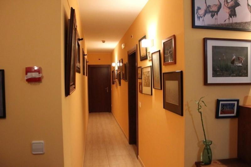 Allucant - Gallocanta Exterior photo